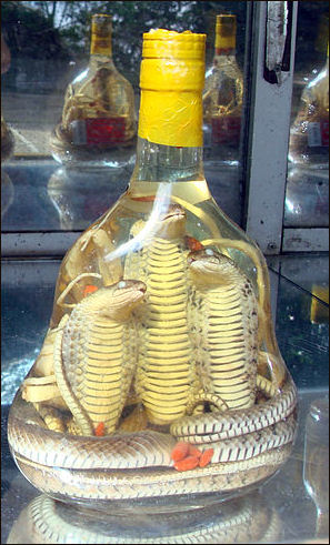 20111101-Wikicommons  Snake scorpion wine.jpg